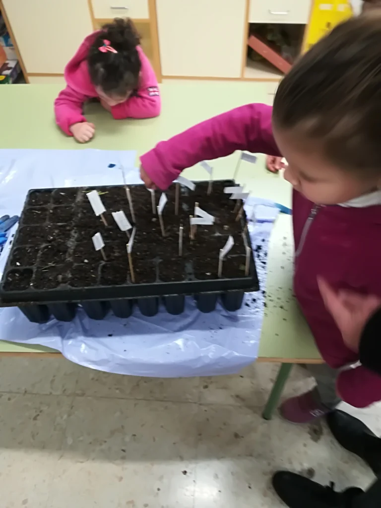 Actividades de ACCCgranada. Alumnos de infantil del colegio de Pinos Genil sembrando bellotas
